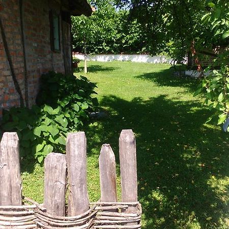 Lodge Morava Vrnjacka Banja Ngoại thất bức ảnh