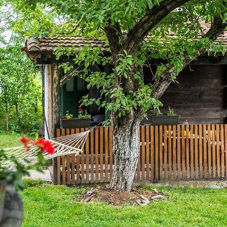 Lodge Morava Vrnjacka Banja Ngoại thất bức ảnh