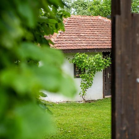 Lodge Morava Vrnjacka Banja Ngoại thất bức ảnh