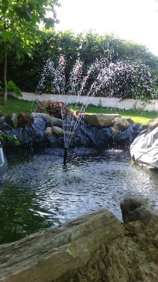 Lodge Morava Vrnjacka Banja Ngoại thất bức ảnh